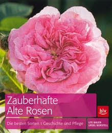 Cover von Zauberhafte Alte Rosen