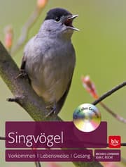 Cover von Singvögel