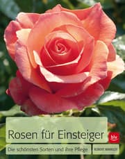 Cover von Rosen für Einsteiger