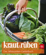 Cover von kraut & rüben