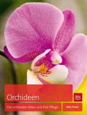 Cover von Orchideen