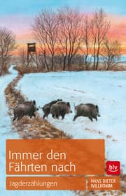 Cover von Immer den Fährten nach