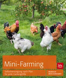 Cover von Mini-Farming