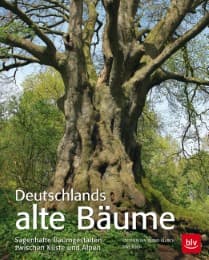 Cover von Deutschlands alte Bäume