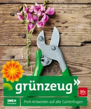 Cover von grünzeug