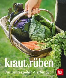 Cover von kraut&rüben