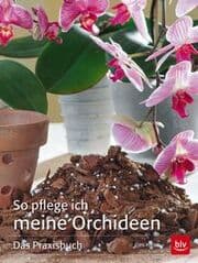 Cover von So pflege ich meine Orchideen