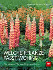 Cover von Welche Pflanze passt wohin?