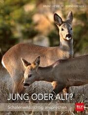 Cover von Jung oder alt?