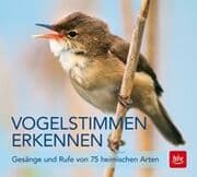 Cover von Vogelstimmen erkennen