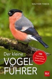 Cover von Der kleine Vogelführer