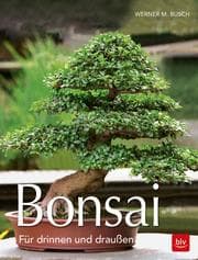 Cover von Bonsai