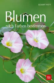 Cover von Blumen nach Farben bestimmen