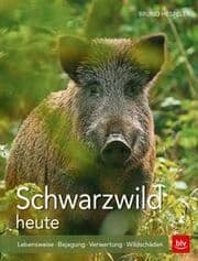 Cover von Schwarzwild heute