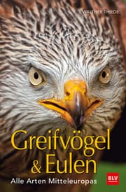Cover von Greifvögel & Eulen