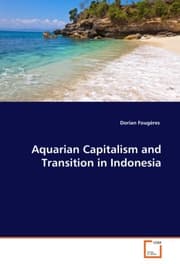 Cover von Aquarian Capitalism and Transition in Indonesia
