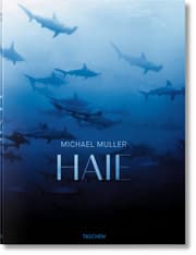 Cover von Haie