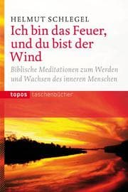 Cover von Ich bin das Feuer, und du bist der Wind