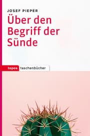 Cover von Über den Begriff der Sünde
