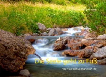 Cover von Die Seele geht zu Fuß
