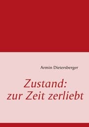 Cover von Zustand: zur Zeit zerliebt