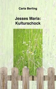 Cover von Jesses Maria: Kulturschock