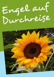 Cover von Engel auf Durchreise