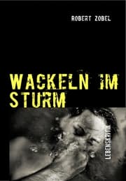 Cover von Wackeln im Sturm
