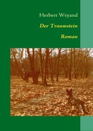 Cover von Der Traumstein