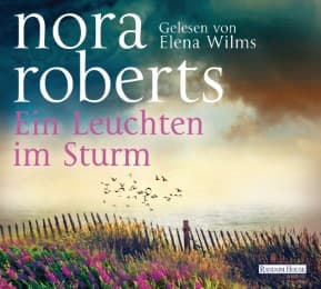 Cover von Ein Leuchten im Sturm
