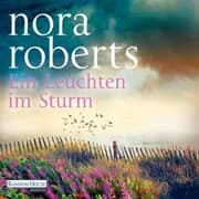 Cover von Ein Leuchten im Sturm