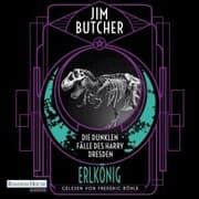 Cover von Die dunklen Fälle des Harry Dresden - Erlkönig