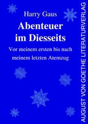 Cover von Abenteuer im Diesseits