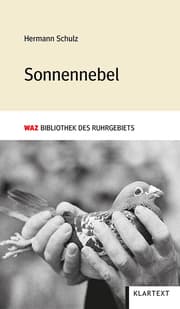 Cover von Sonnennebel
