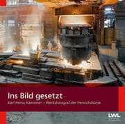 Cover von Ins Bild gesetzt