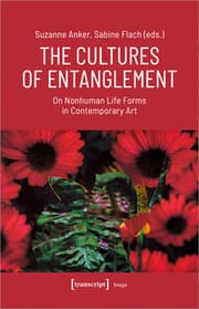 Cover von The Cultures of Entanglement