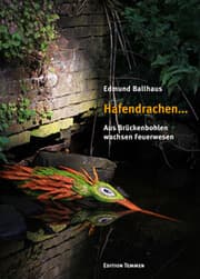 Cover von Hafendrachen...