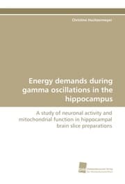 Cover von Energy demands during gamma oscillations in the hippocampus