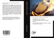 Cover von Evaluation du risque dinflammation des fumées riches