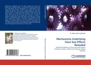 Cover von Mechanisms Underlying Class Size Effects Revealed