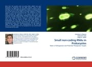 Cover von Small non-coding RNAs in Prokaryotes