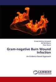 Cover von Gram-negative Burn Wound Infection