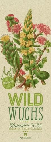 Cover von Wildwuchs - Botanische Illustrationen - Graspapier-Kalender 2025