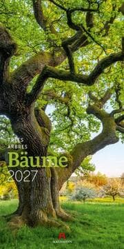 Cover von Bäume Kalender 2027