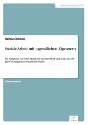 Cover von Soziale Arbeit mit jugendlichen Zigeunern