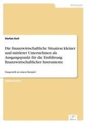 Cover von Die finanzwirtschaftliche Situation kleiner und mittlerer Unternehmen als Ausgangspunkt für die Einführung finanzwirtschaftlicher Instrumente