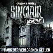 Cover von Haus der verlorenen Seelen