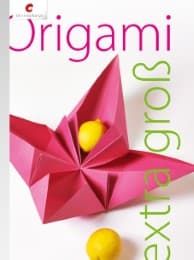 Cover von Origami extra groß