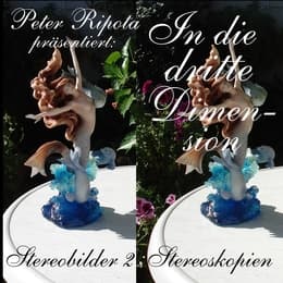 Cover von In die dritte Dimension 2