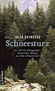 Cover von Schneesturz - Der Fall des Königenhofs